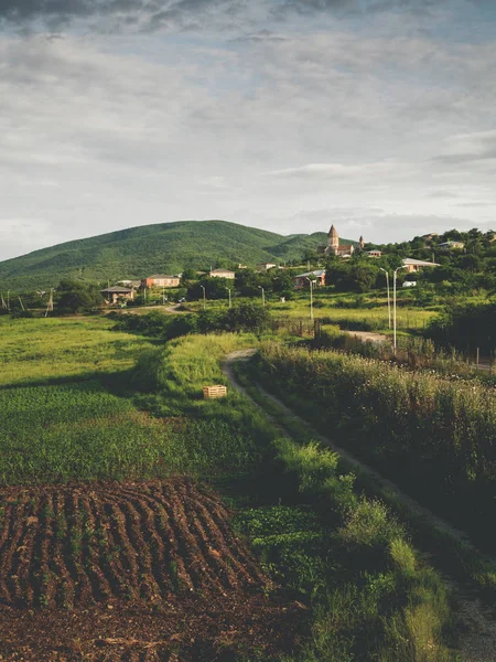 Beautiful green fields and hills near village in georgia — Stock Photo