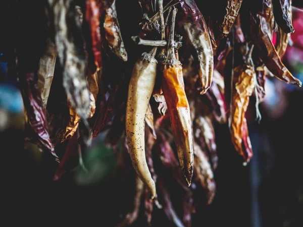 Different dried organic chili peppers hanging on threads at georgian market — Stock Photo