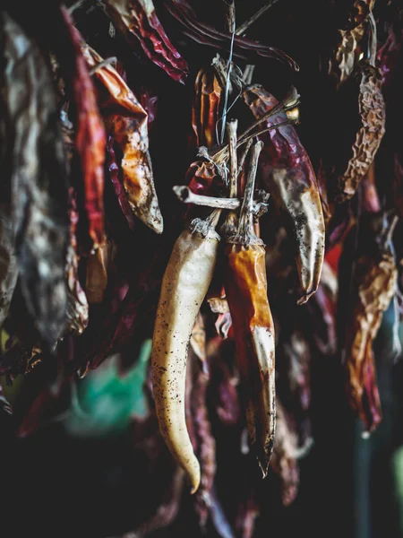 Selective focus of dried organic chili peppers hanging on threads at georgian market — Stock Photo