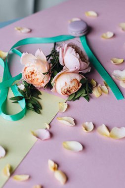güzel şakayık çiçekleri, şerit ve pembe bir arka plan üzerinde boş kartı 