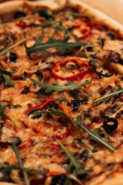 peynir, ruccola ve zeytin, geleneksel İtalyan mutfağının lezzetli pizza 