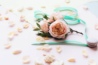 güzel şakayık çiçekleri, şerit ve pembe bir arka plan üzerinde boş kartı 