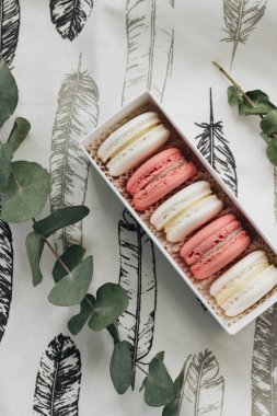 tabloda yeşil dallar ile lezzetli macaroons bileşimi 