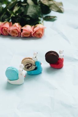 yaratıcı salyangoz süslemeleri ile mavi masada lezzetli macaroons