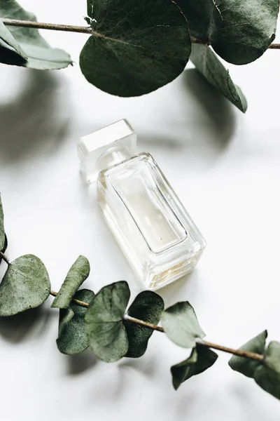 Perfumy Butelka Eukaliptusa Gałązki Białym Tle Płaskie Leżał — Zdjęcie stockowe