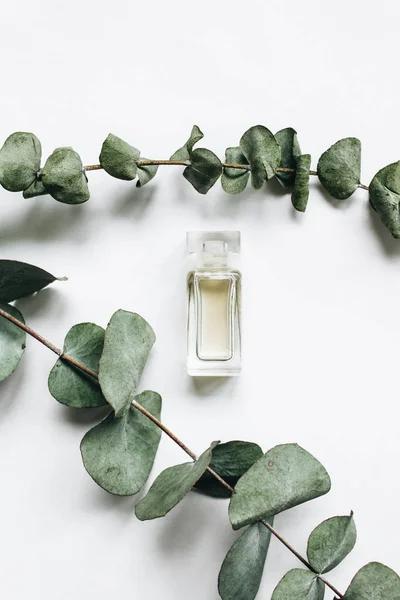 Parfum Fles Eucalyptus Twijgen Witte Achtergrond Plat Leggen — Stockfoto