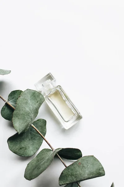 Parfümflasche Und Eukalyptuszweig Auf Weißem Hintergrund Flache Lage — Stockfoto