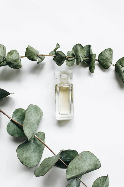 Parfum Fles Eucalyptus Twijgen Witte Achtergrond Plat Leggen — Stockfoto