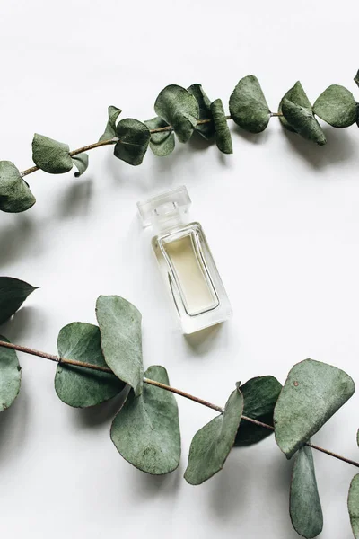 Parfümflasche Und Eukalyptuszweige Auf Weißem Hintergrund Flache Lage — Stockfoto
