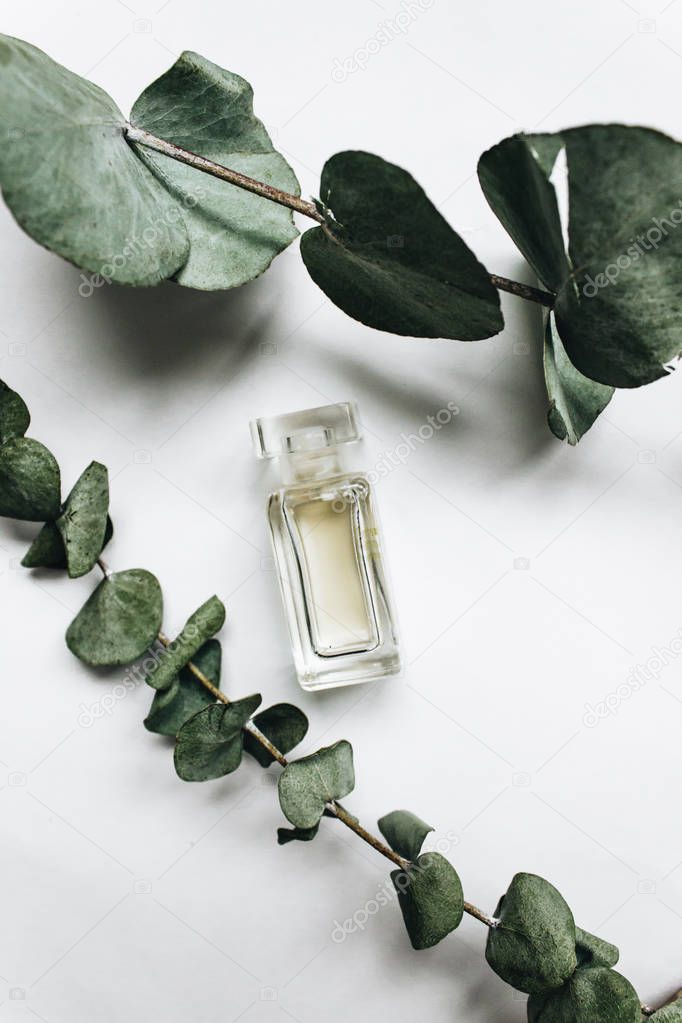 perfume bottle and eucalyptus twigs on white background, flat lay 