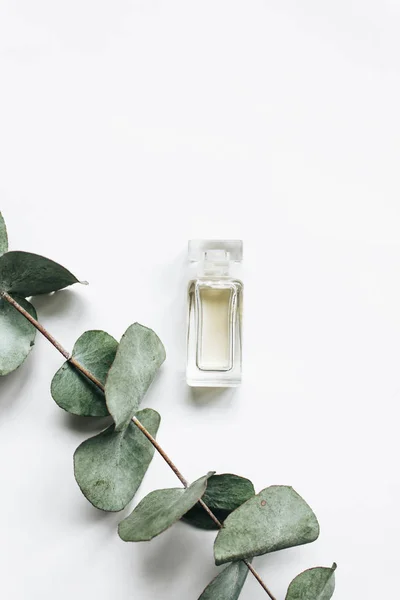 Perfume Bottle Eucalyptus Twig White Background Flat Lay — Stock Photo, Image