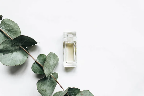 Botella Perfume Ramita Eucalipto Sobre Fondo Blanco Plano — Foto de Stock