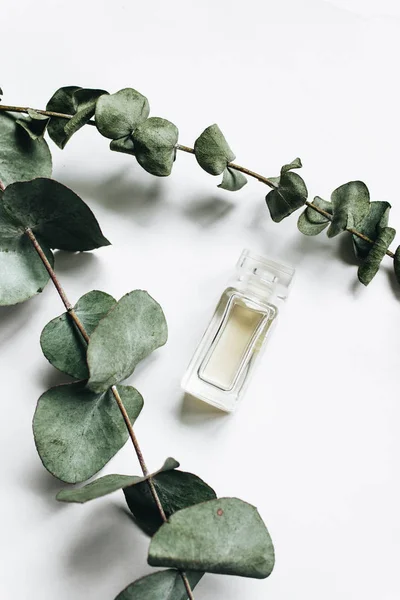 Flacon Parfum Brindilles Eucalyptus Sur Fond Blanc Plat — Photo