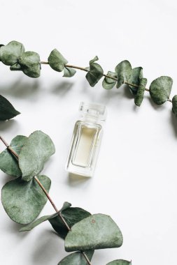 parfüm şişesi ve okaliptüs twigs, düz beyaz arka plan üzerinde yatıyordu 