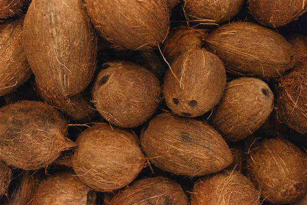 Högen Kokosnötter Tropiska Frukter Bakgrund — Stockfoto