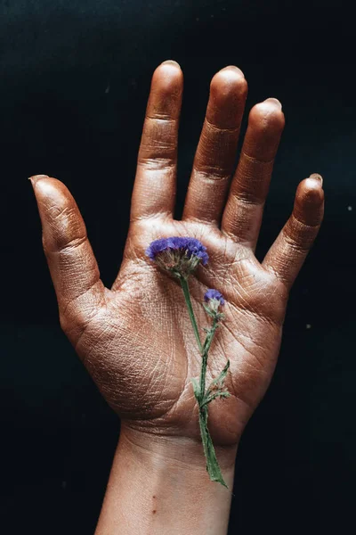 Female Hand Holding Small Blue Flower Black Background — Stock Photo, Image