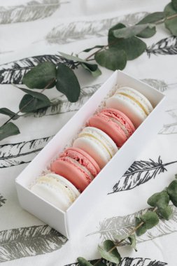 tabloda yeşil dallar ile lezzetli macaroons bileşimi 