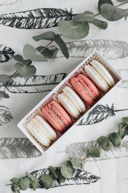 tabloda yeşil dallar ile lezzetli macaroons bileşimi 