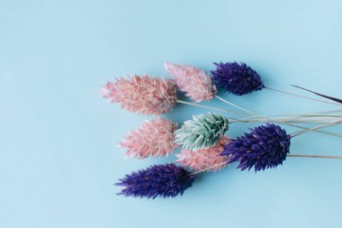 egzotik Kuru çiçekler ile güzel buket