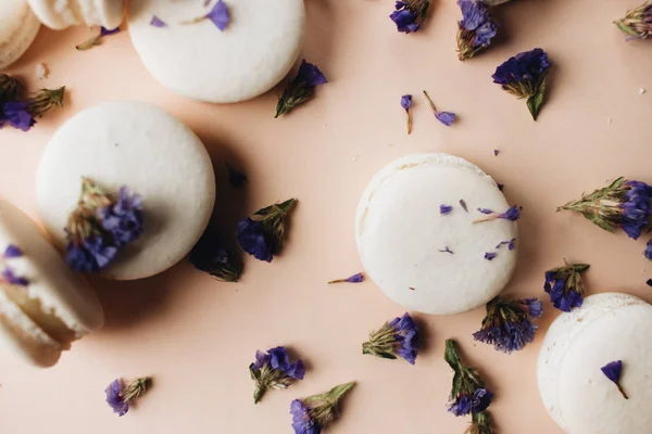 Composition Delicious Macaroons Purple Flowers — Stock Photo, Image