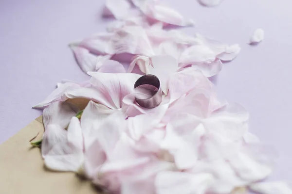 Petals Tender Pink Flowers Ring Pink Background — Stock Photo, Image