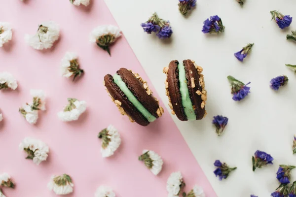 Composição Deliciosos Macaroons Chocolate Pétalas Florais — Fotografia de Stock