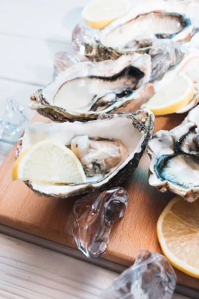 delicious oysters with lemon, seafood delicacy