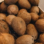 Pile of coconuts, tropical fruits background