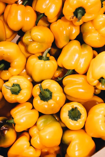 sarı taze kırmızı biber biber, yemek arka plan yığını 