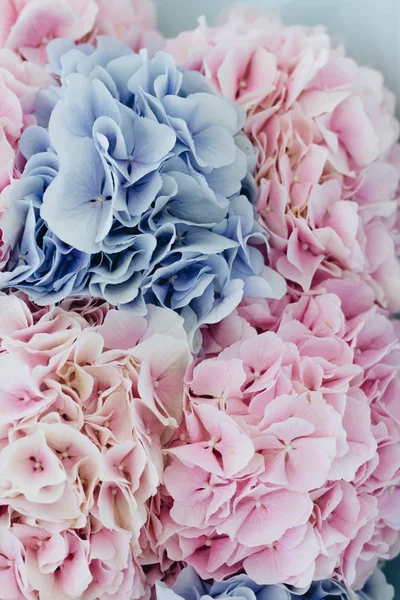 Prachtige Lente Boeket Met Zacht Roze Blauwe Hortensia Bloemen — Stockfoto
