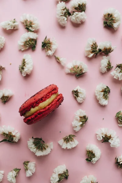 Composição Deliciosos Macaroons Flores Brancas — Fotografia de Stock