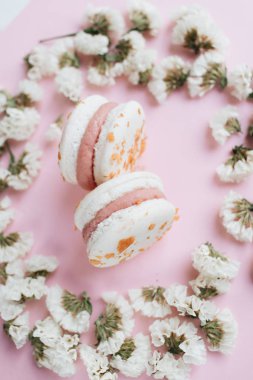 kompozisyon iki lezzetli macaroons ve çiçek yaprakları