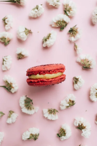 Composição Deliciosos Macaroons Flores Brancas — Fotografia de Stock