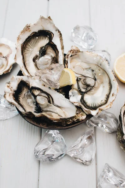 Delicious Oysters Lemon Seafood Delicacy — Stock Photo, Image