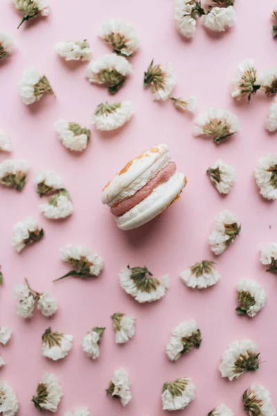 Composição Deliciosos Macaroons Flores Brancas — Fotografia de Stock