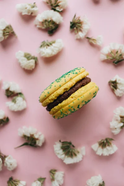 Composição Deliciosos Macaroons Flores Brancas — Fotografia de Stock