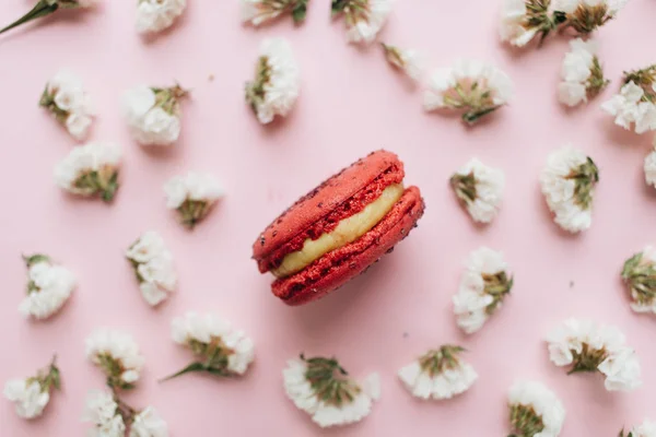 Samenstelling Van Heerlijke Macaroon Witte Bloemen — Stockfoto