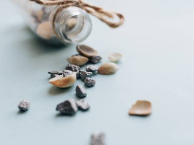 Beyaz arka planda güzel deniz kabukları yığını