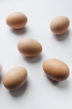 Beyaz arkaplanda tavuk yumurtası