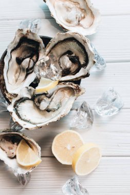 limon, lezzetli istiridye deniz ürünleri incelik