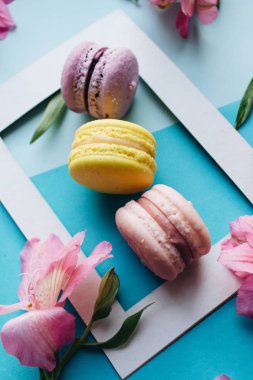 çerçeve ile çiçek arka plan üzerinde lezzetli macaroons
