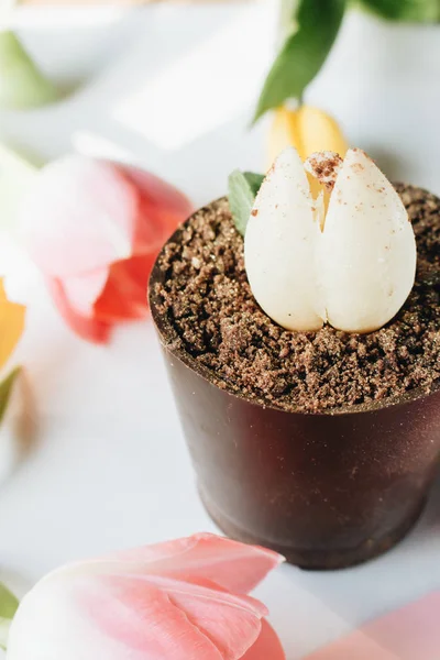 Творческий Десерт Цветочный Горшок Орео Заднем Плане Тюльпанами — стоковое фото