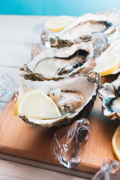 delicious oysters with lemon, seafood delicacy