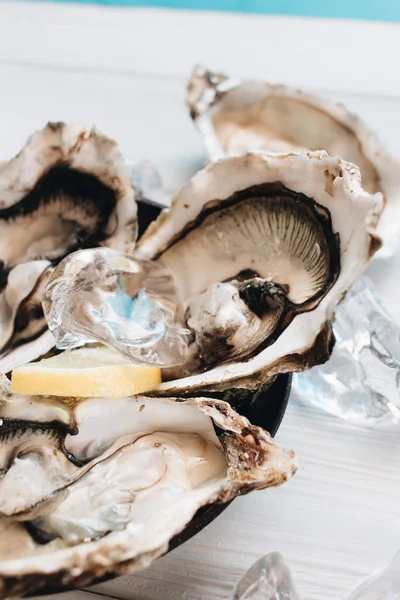 Deliciosas Ostras Con Limón Mariscos Delicadeza — Foto de Stock