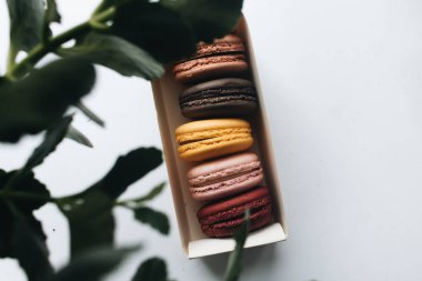 kutusu ile lezzetli parlak macaroons, tatlı tatlı 