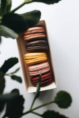 kutusu ile lezzetli parlak macaroons, tatlı tatlı 