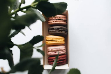 kutusu ile lezzetli parlak macaroons, tatlı tatlı 