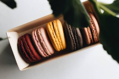 kutusu ile lezzetli parlak macaroons, tatlı tatlı 