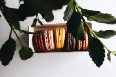 kutusu ile lezzetli parlak macaroons, tatlı tatlı 