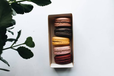 kutusu ile lezzetli parlak macaroons, tatlı tatlı 